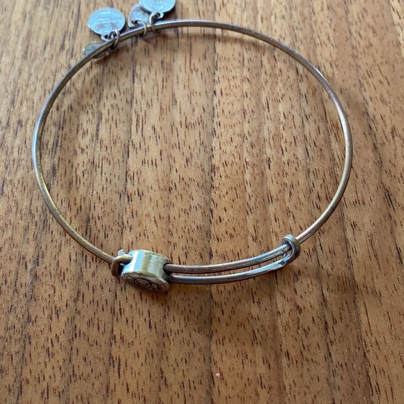 Alex and Ani set of 5 vintage charm bracelets - Picture 4 of 9